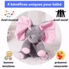 Dranv : l'Elephant Cache-Cache Musica bébé
